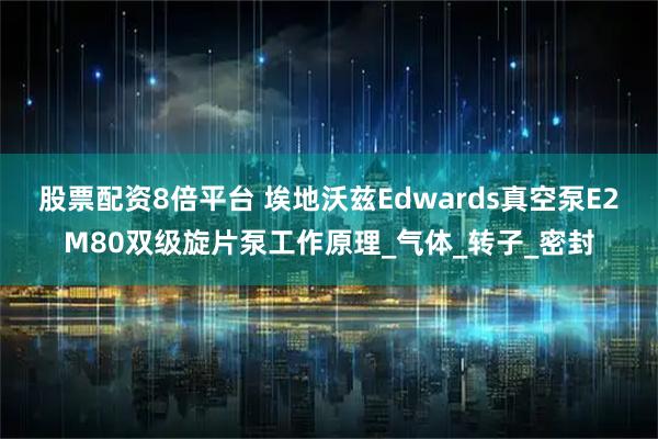 股票配资8倍平台 埃地沃兹Edwards真空泵E2M80双级旋片泵工作原理_气体_转子_密封